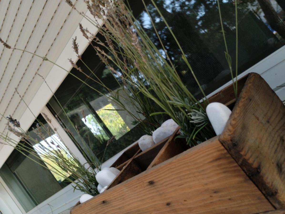 Entre Pinos y Medusas Apartamento Pedrezuela Exterior foto