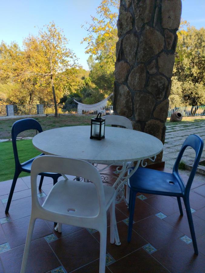 Entre Pinos y Medusas Apartamento Pedrezuela Exterior foto